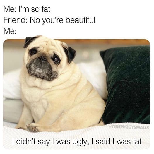 fat is beautiful .....
GM only1! 
